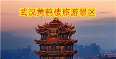鸡巴插桃子