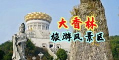 大鸡巴插小寡妇的逼中国浙江-绍兴大香林旅游风景区